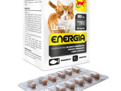 WITA-VET ENERGIA Kot 120 tab. 10 blistrów