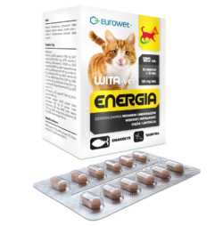 WITA-VET ENERGIA Kot 120 tab. 10 blistrów