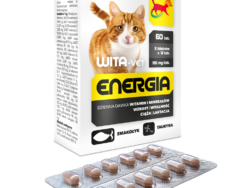 WITA-VET ENERGIA Kot 60 tab. 5 blistrów