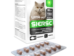 WITA-VET SIERŚĆ Kot 120 tab. 10 blistrów