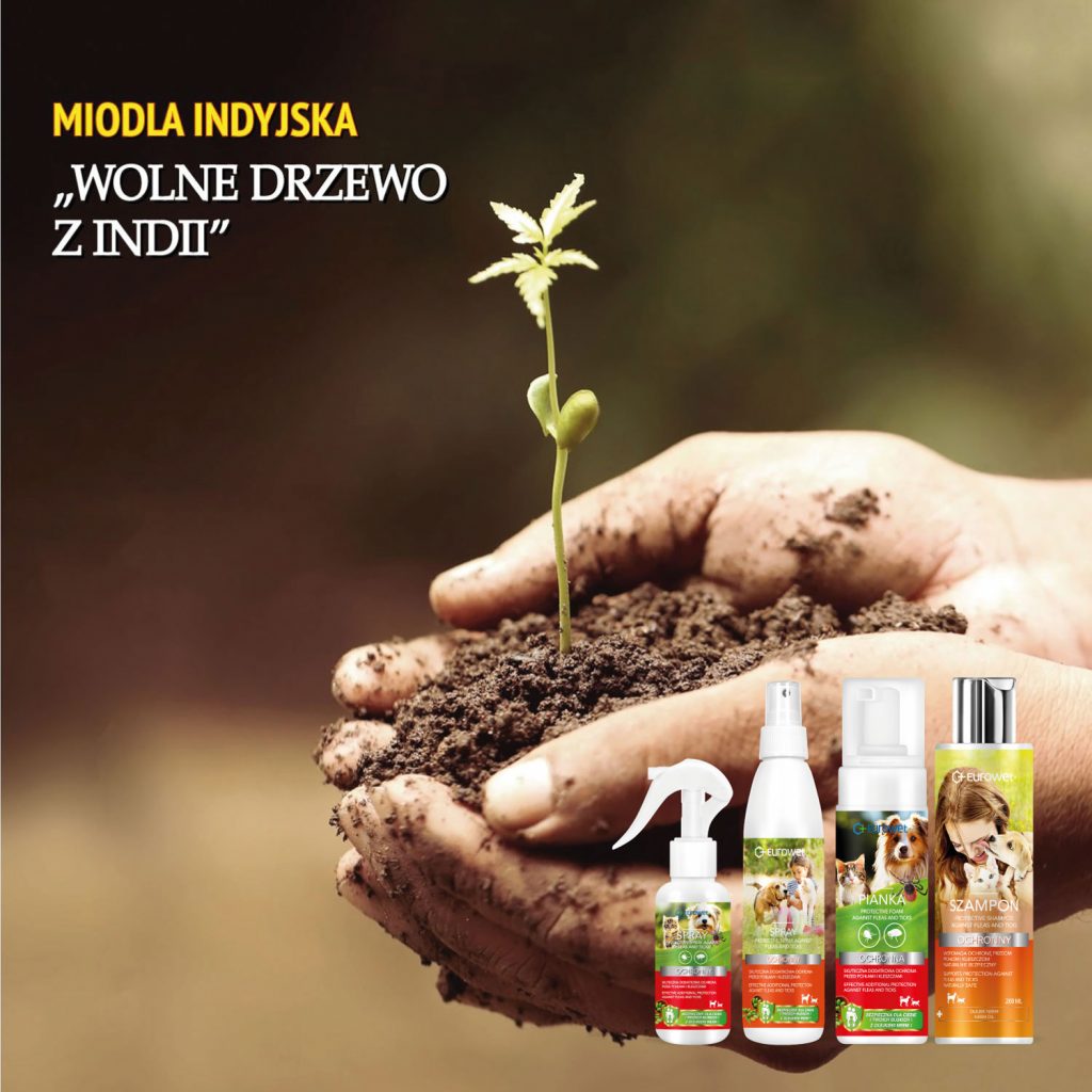 olejek neem przeciw pchłom kleszczom